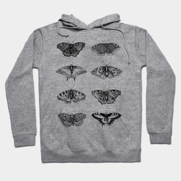 Dramabite Vintage butterflies scientific illustration Hoodie by dramabite